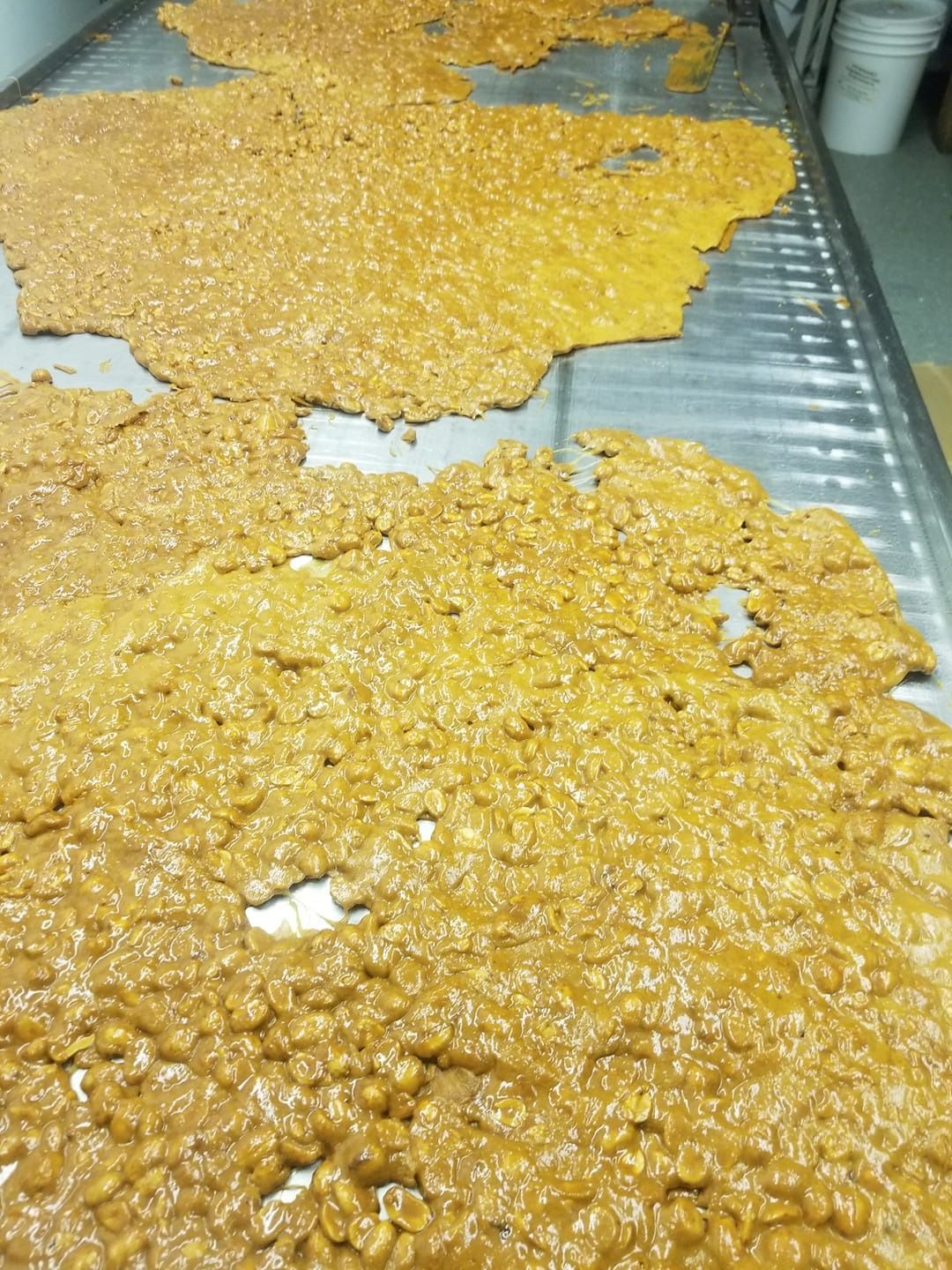 Sheets of amber-colored brittle on a metal table, likely for cooling.
