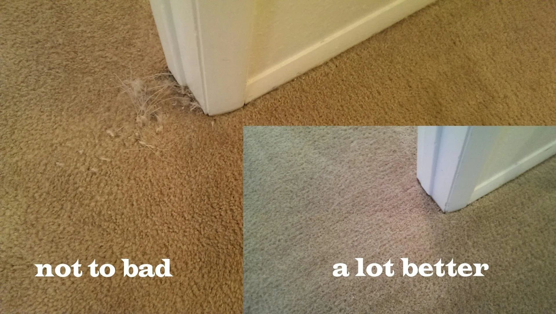 Carpet stain near a doorway, with a smaller inset showing a cleaner result labeled “a lot better.”