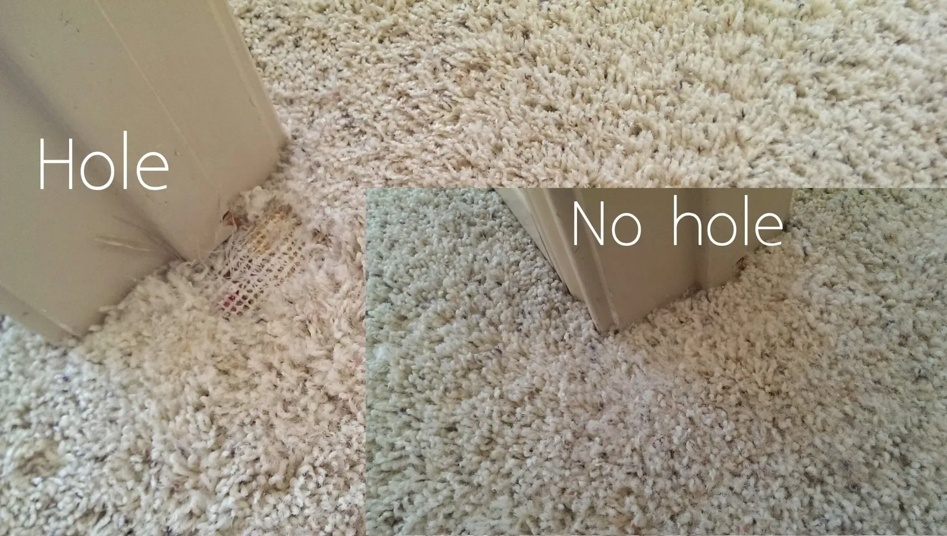 Split view of beige carpet by a door frame, labeled 