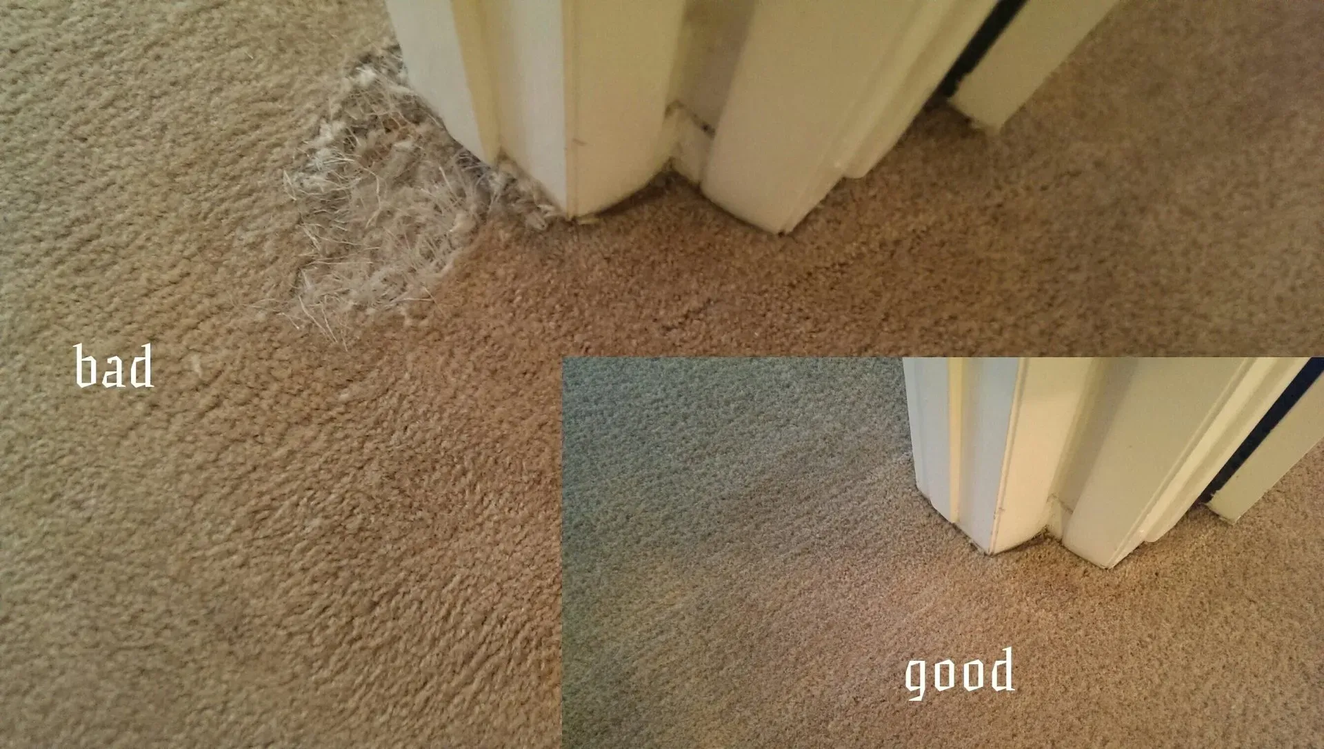 Carpet fibers at a doorway; inset compares blurry and sharper focus, labeled bad and good.