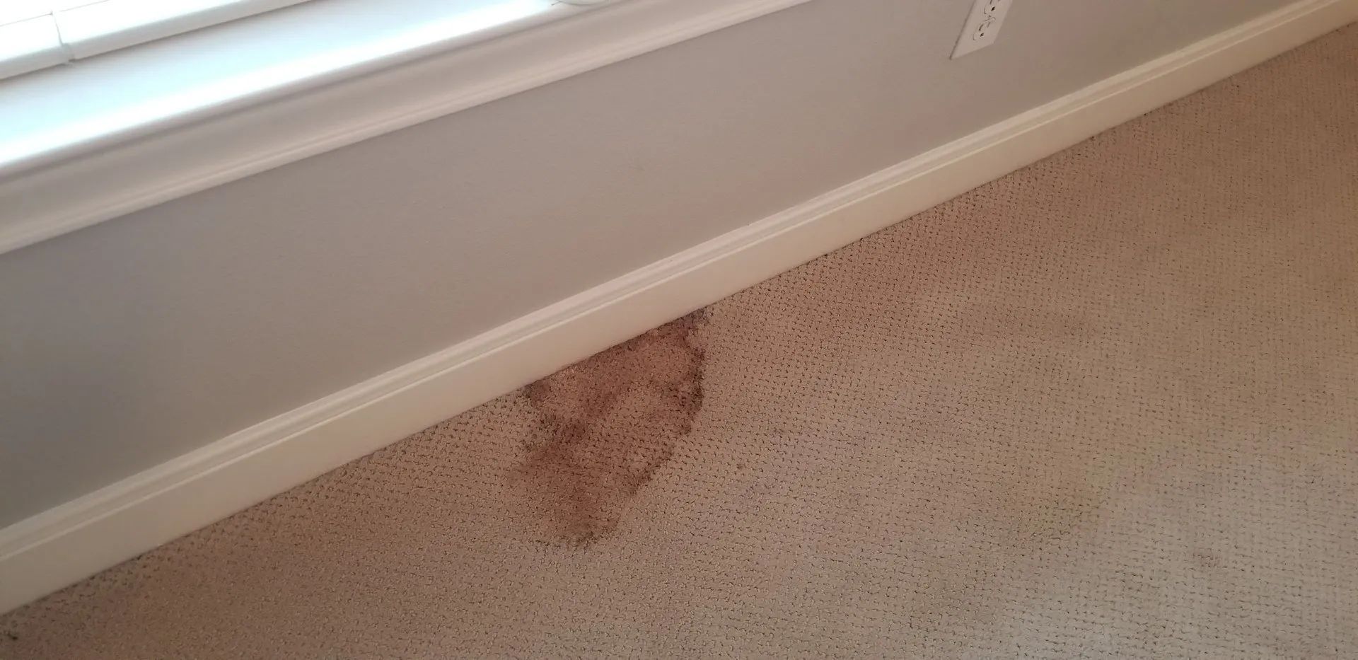 Carpeted floor beside a white wall with a brown stain near the baseboard.