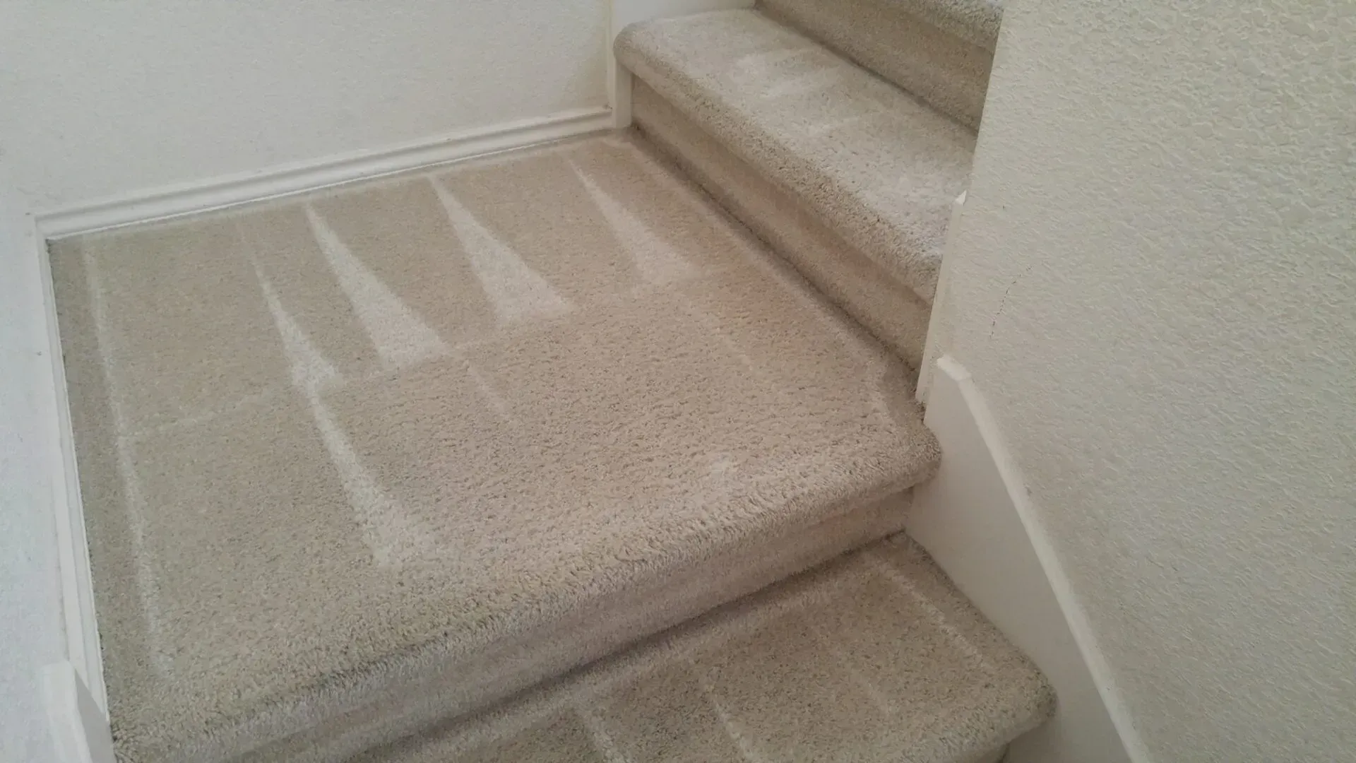 Carpeted staircase with beige steps and white walls in a hallway