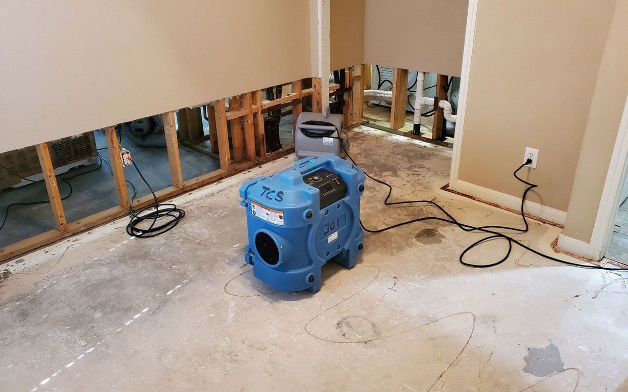 Blue carpet cleaning machine in a room under renovation with exposed wall studs and unfinished floor