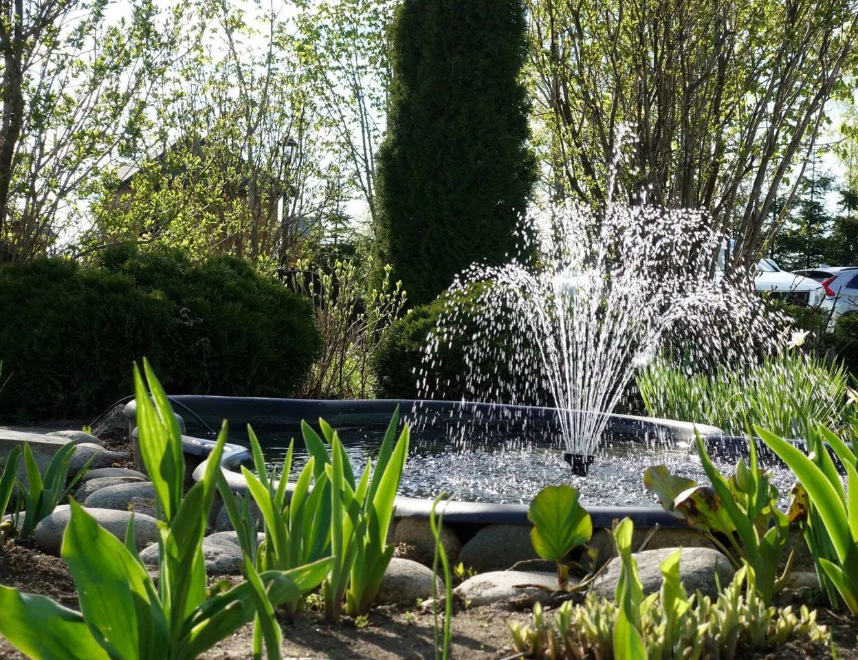 a fountain in a garden surrounded by plants and trees