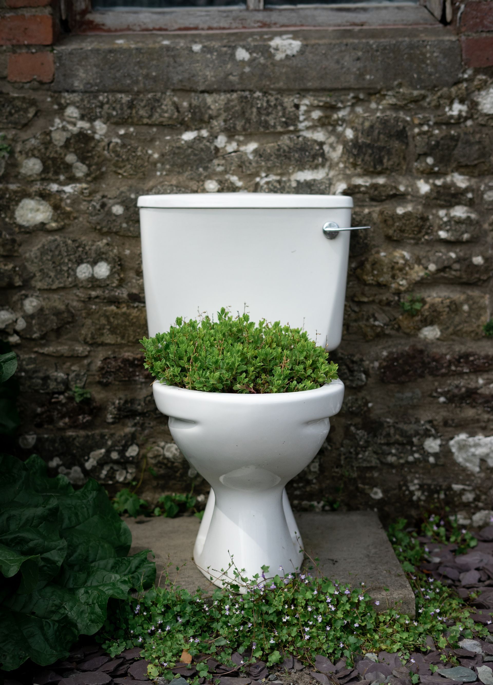 Toilet with grass