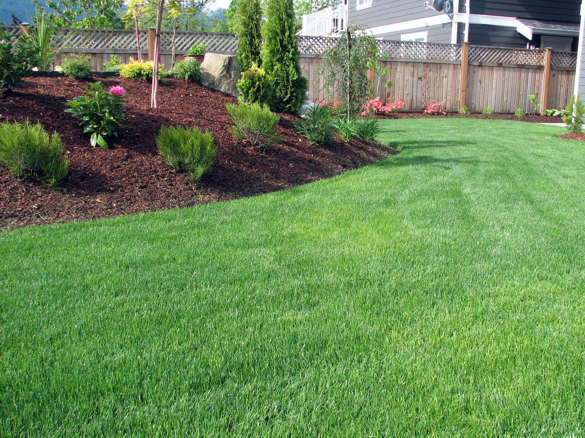 lawn irrigation services