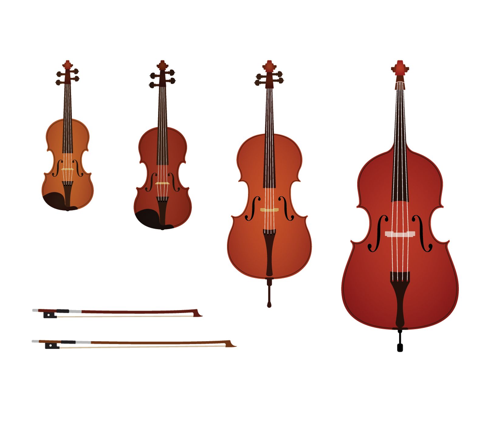 different sizes of violin