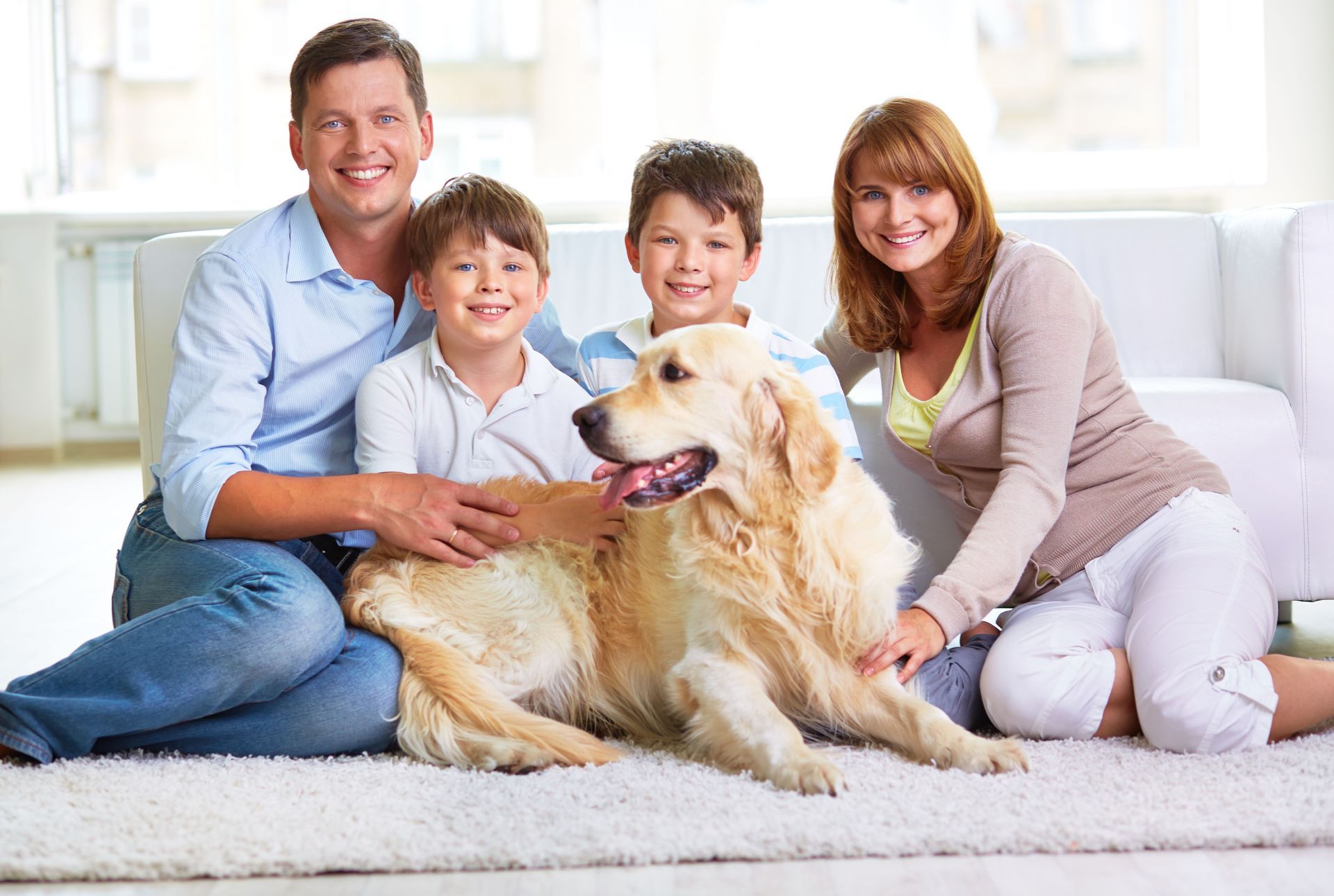 Pet friendly environment