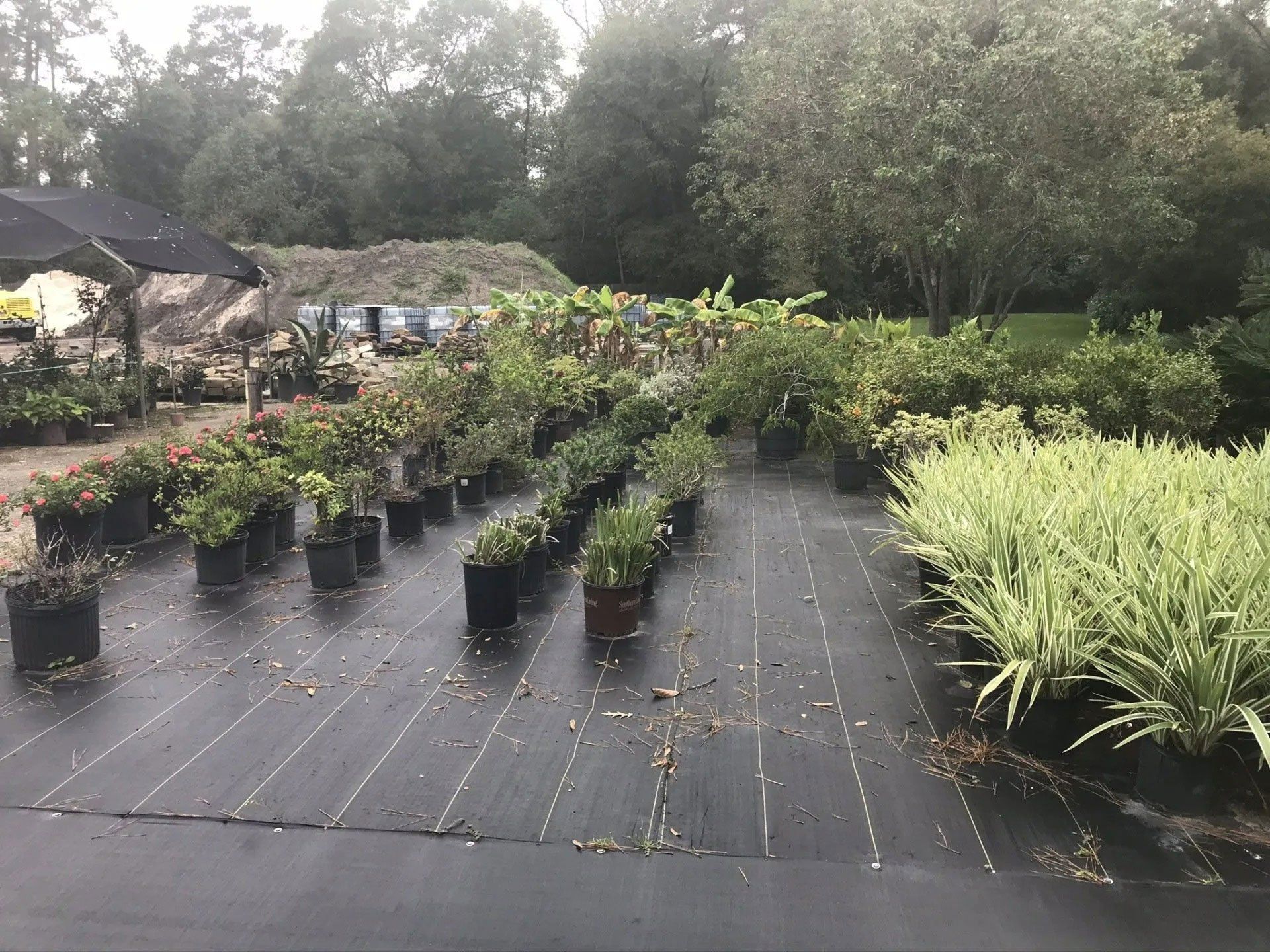 Gallery Kingwood Mulch & Stone