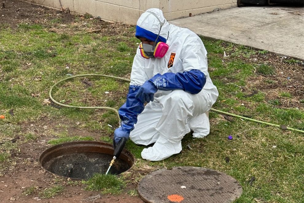 Person in protective suit cleaning a manhole in a yard; kneeling, using a tool, hose visible.