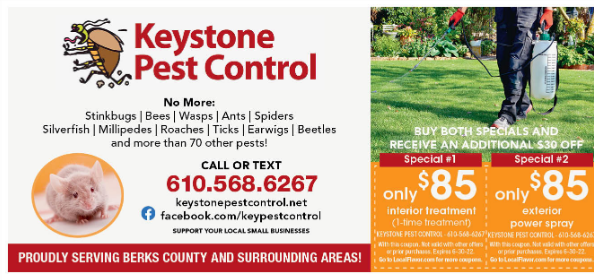 Keystone Pest Control Special Offer
