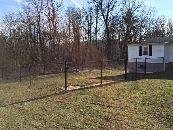 Backyard with chain-link fence, grassy yard, leafless trees, and a small white house on the right