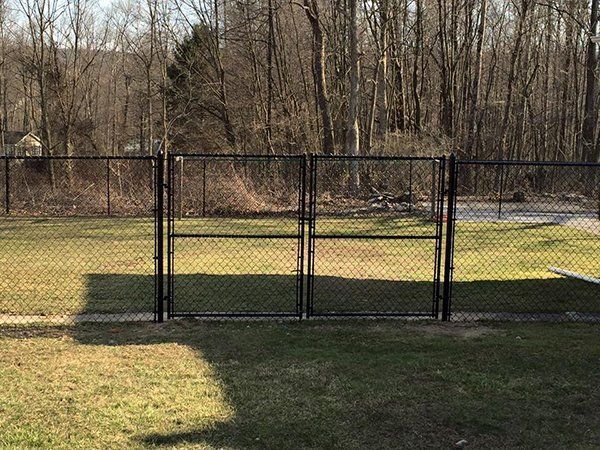 Black chain-link gate in a grassy field with leafless trees in the background.