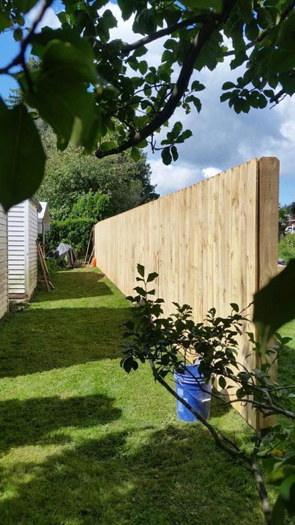 Backyard with a tall wooden privacy fence, green lawn, and leafy branches overhead