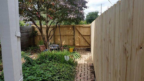 Narrow backyard garden with brick path, wooden fence, and trees under a cloudy sky