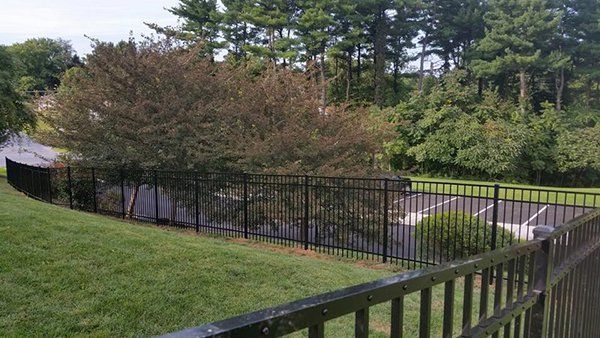 Backyard with black metal fence, grassy lawn, shrubs, and trees on a cloudy day