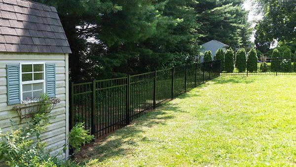 Side yard with a black metal fence beside a small house and a green lawn in sunlight