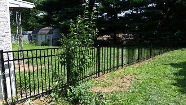 Black metal fence along a grassy yard beside a house and trees