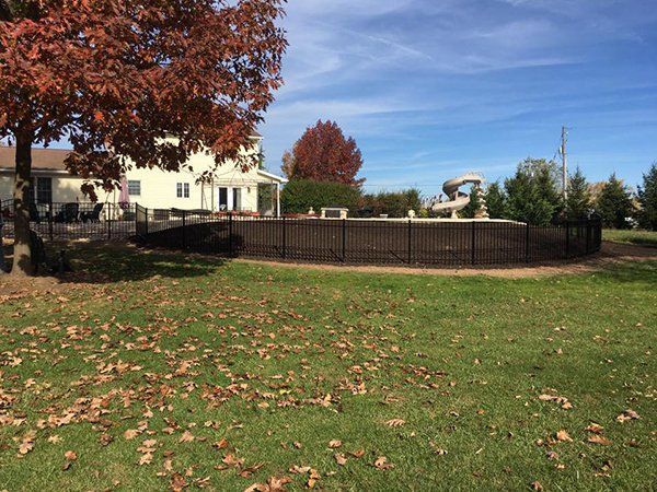 Grassy backyard with fallen leaves, a wooden fence, and a house under a blue sky with autumn trees.