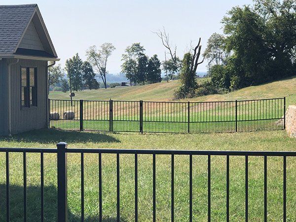 Backyard with black metal fence, green lawn, and a small house at left under a sunny sky