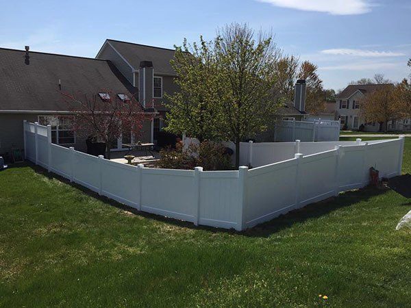 White vinyl fenced backyard with a tree and house under a clear sky