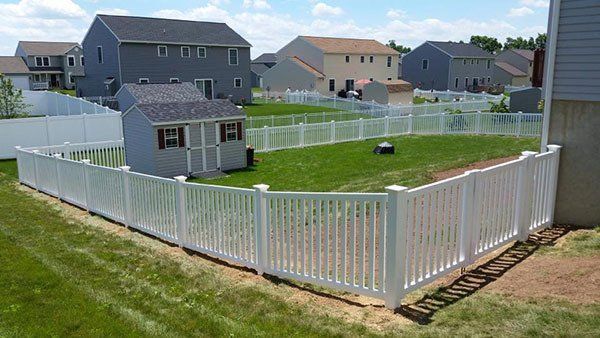 White picket-fenced backyard with a small shed and lawn in a suburban neighborhood