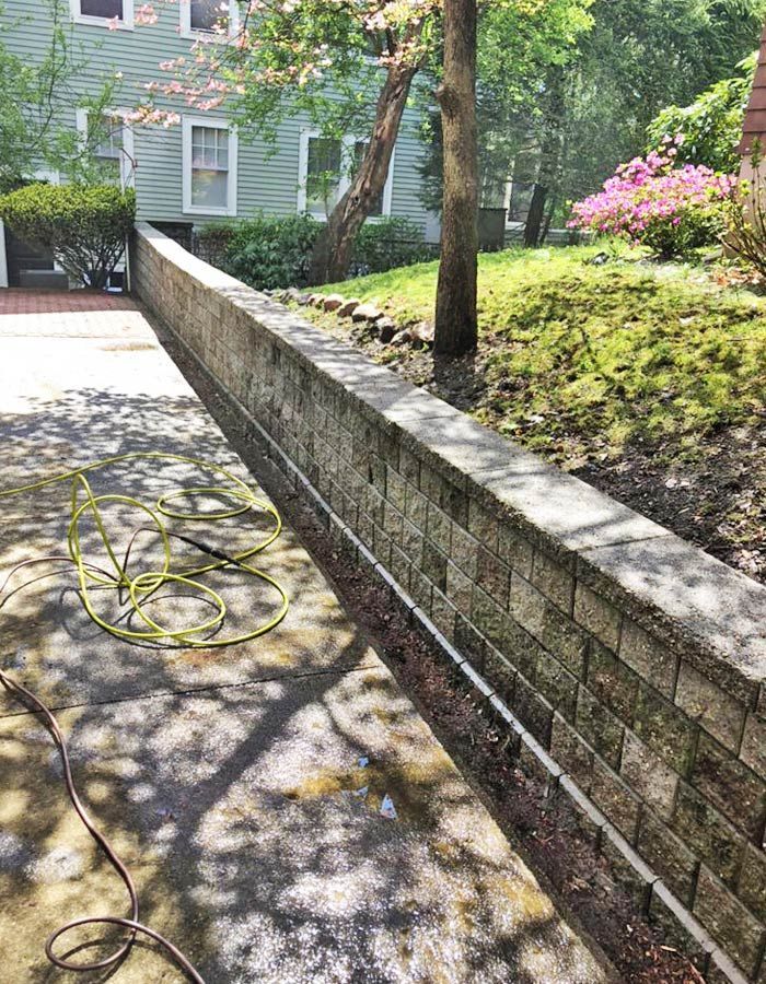 Backyard driveway beside a stone retaining wall and trees, with a coiled hose on the pavement.