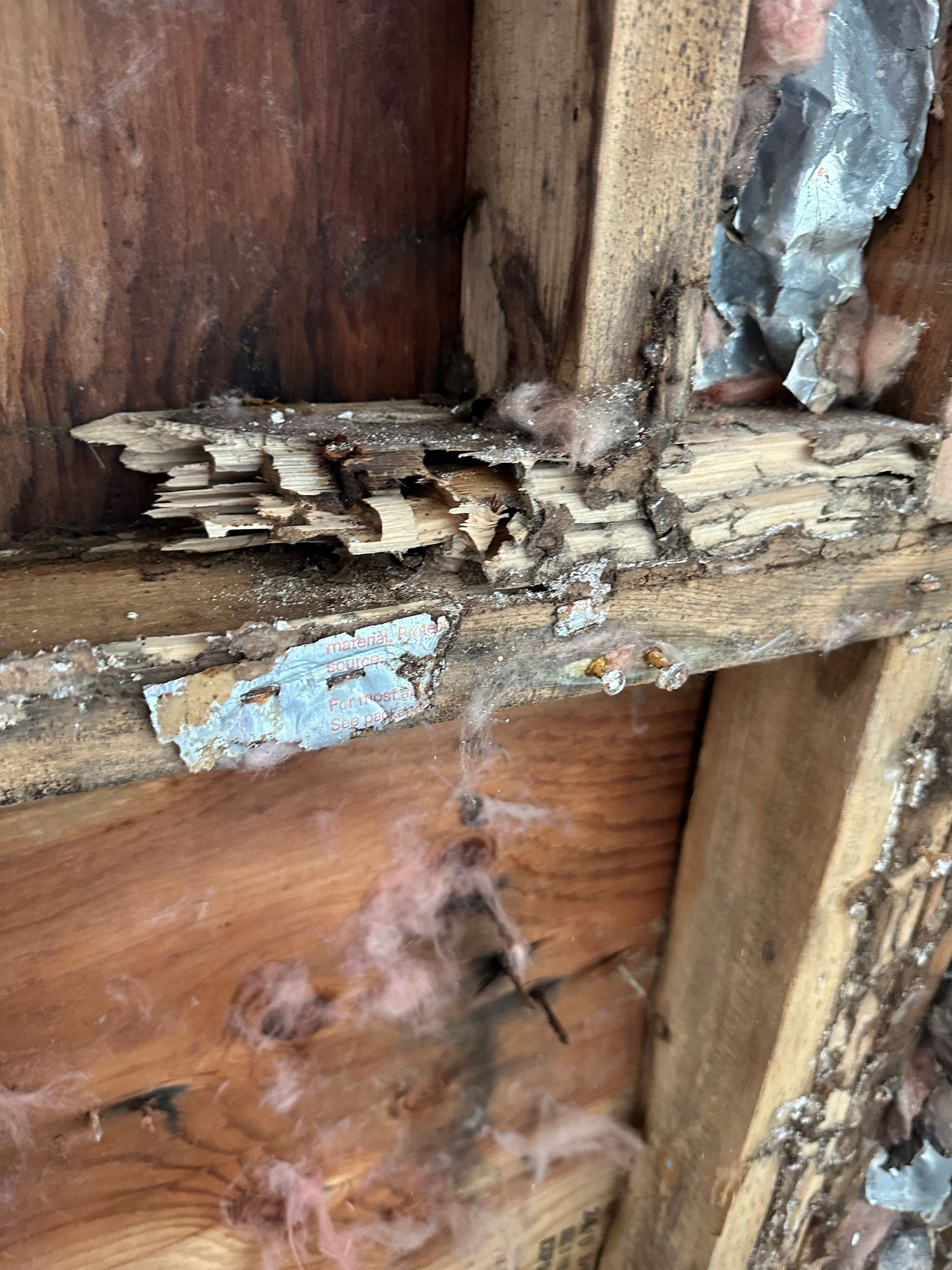 Close-up of rotting wood beams with peeling paint and visible decay in a wall frame