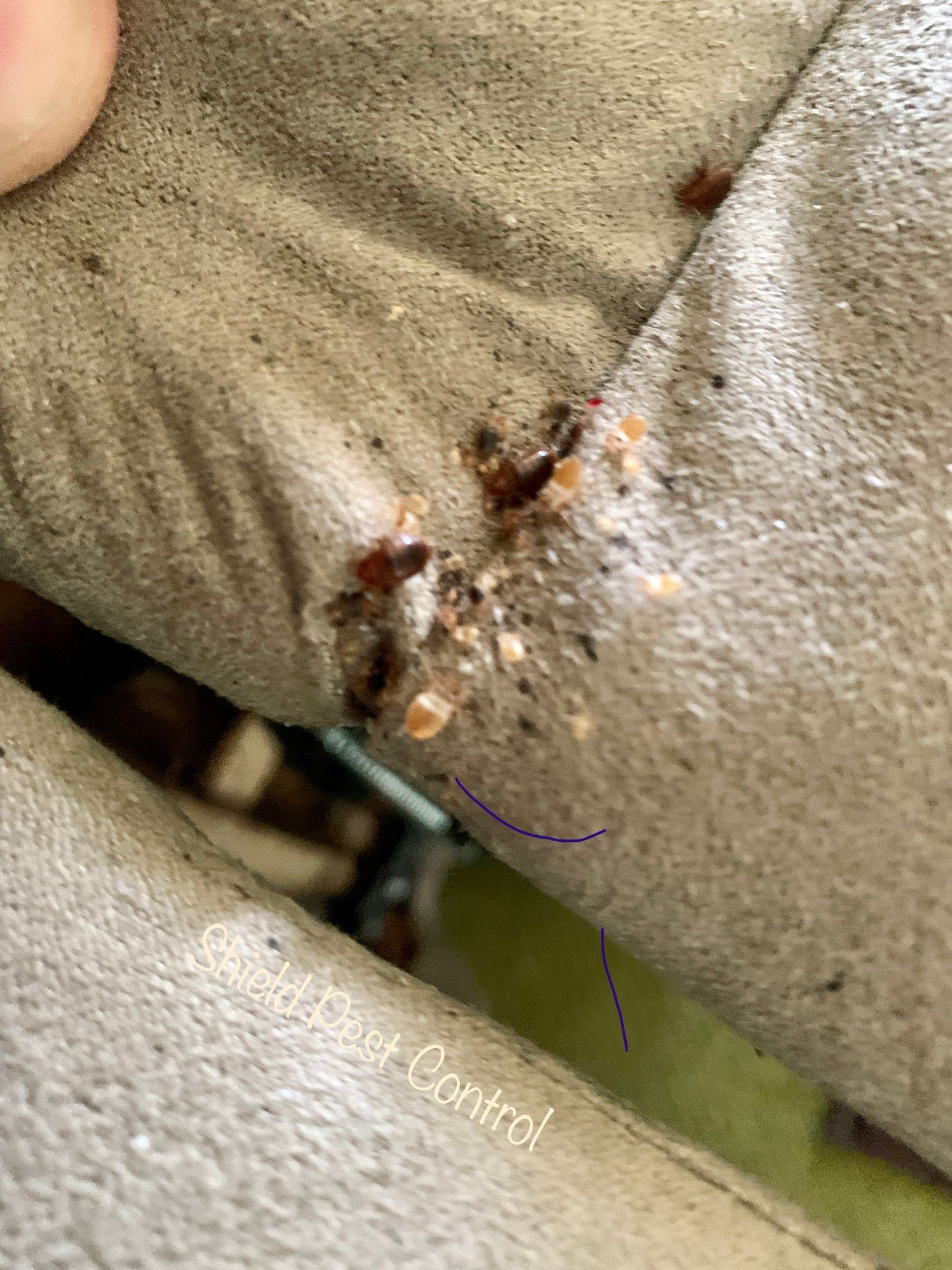 Close-up of a stained beige fabric seam with rust-colored spots and a small tear