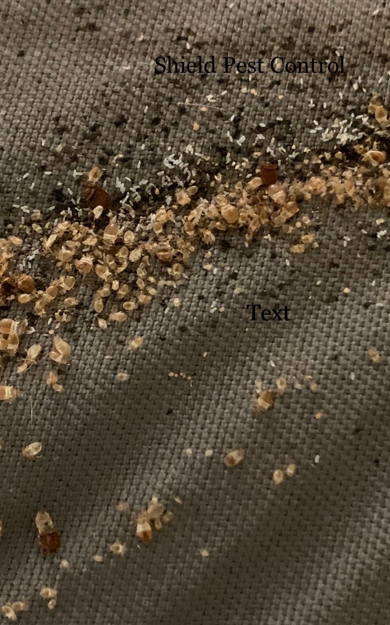 Close-up of a mesh screen with scattered dirt and debris, showing a dusty brown surface.