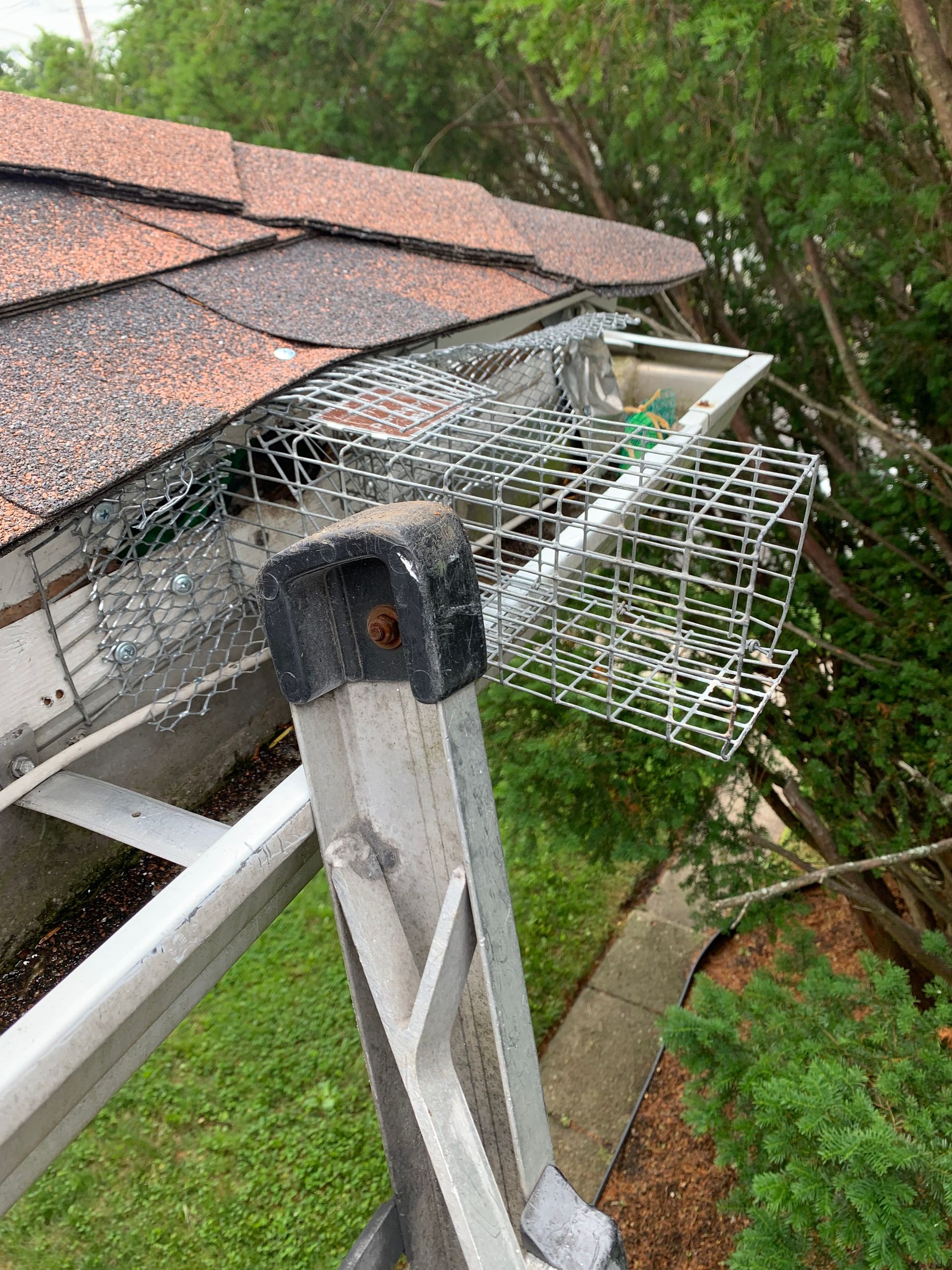 Damaged roof gutter and bent metal guard on a house surrounded by trees