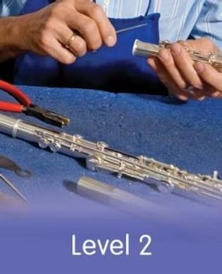 The Tuneful Tech