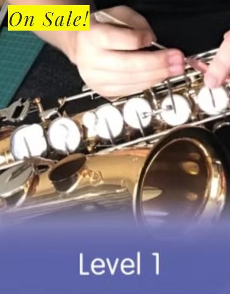 The Tuneful Tech