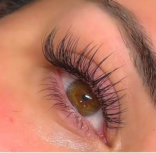 Close-up of a brown eye with long curled eyelashes and soft pink eye makeup