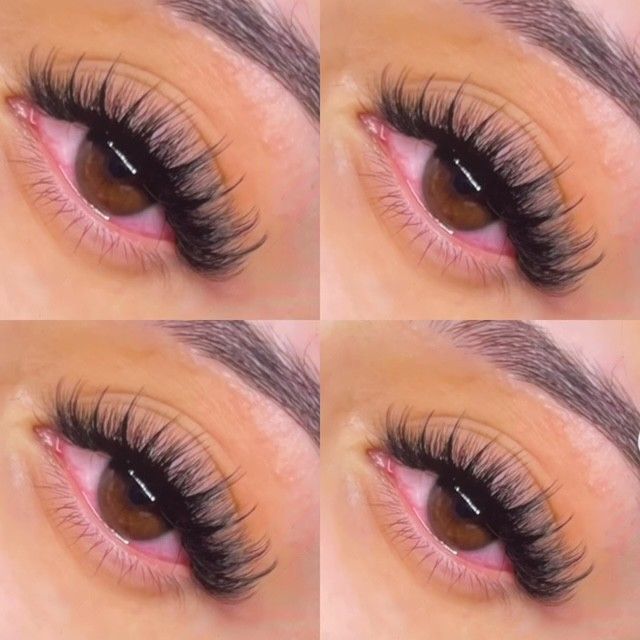 Close-up collage of four eyes with long curled black eyelashes and shaped brows on a soft pink background