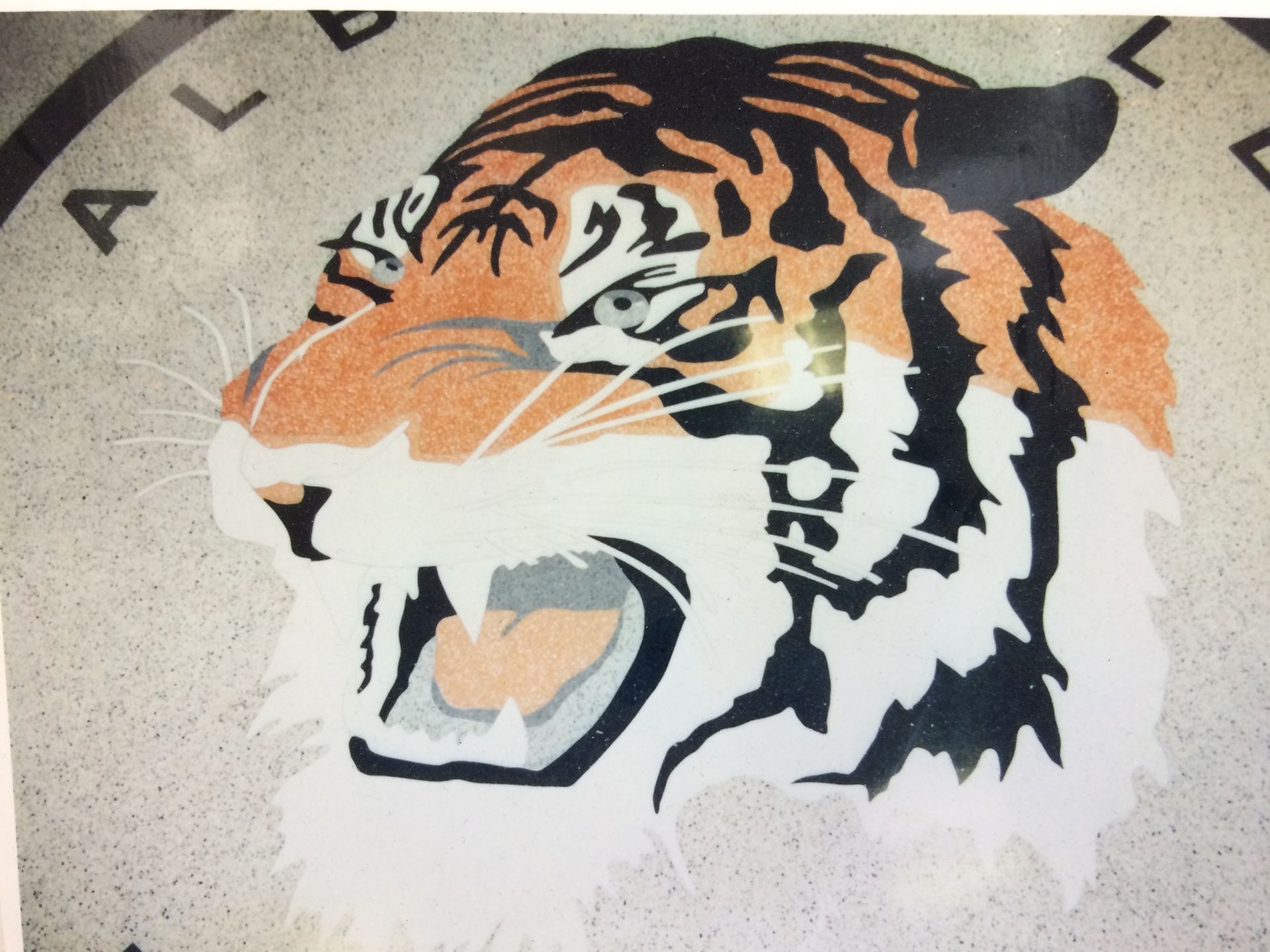 A picture of a tiger 's head with the word alabama on the bottom