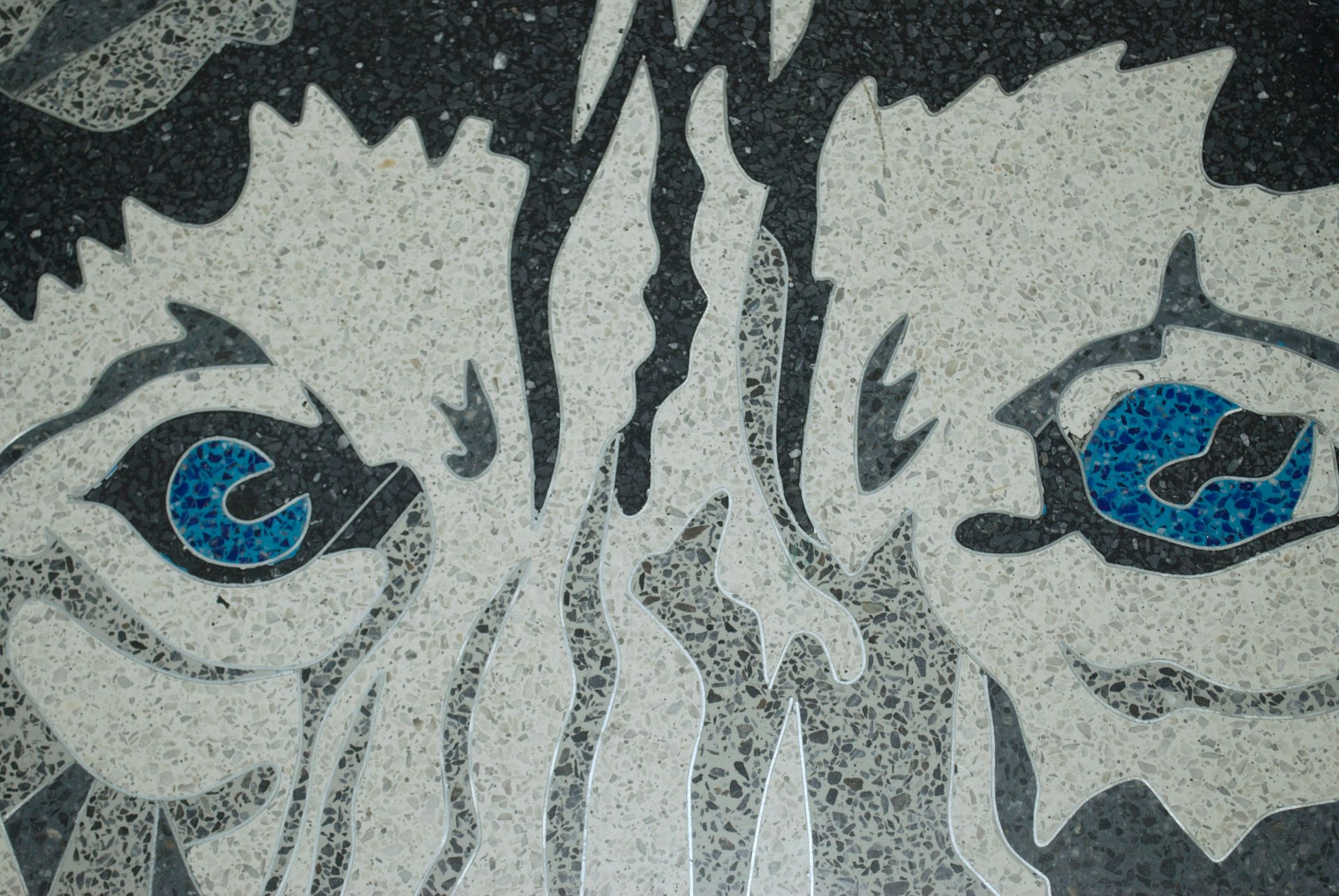 A close up of a person 's face with blue eyes