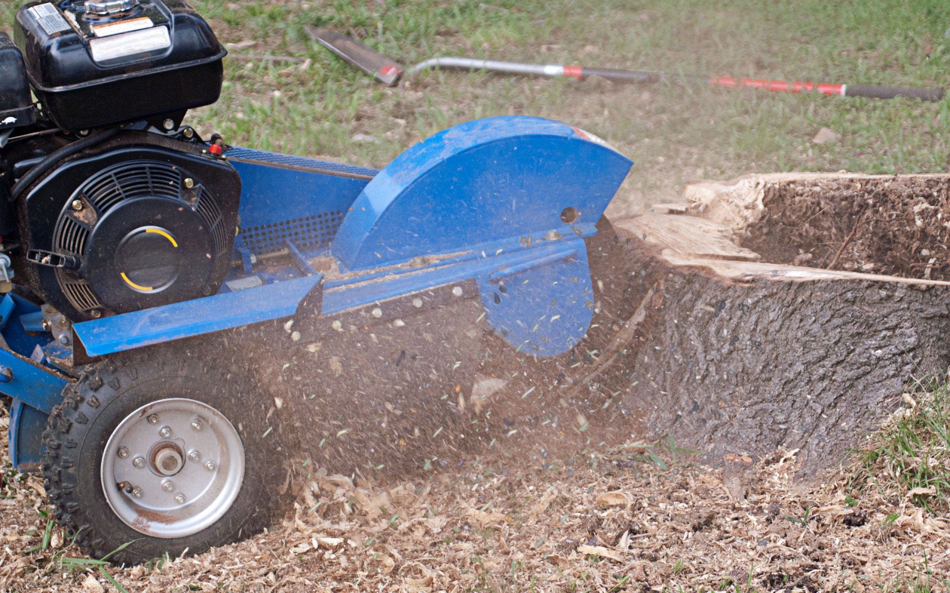 Stump grinding