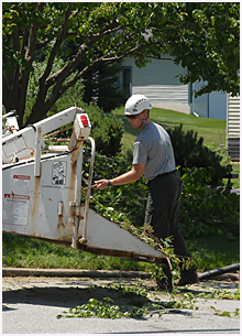 man working with equipment to chip trees