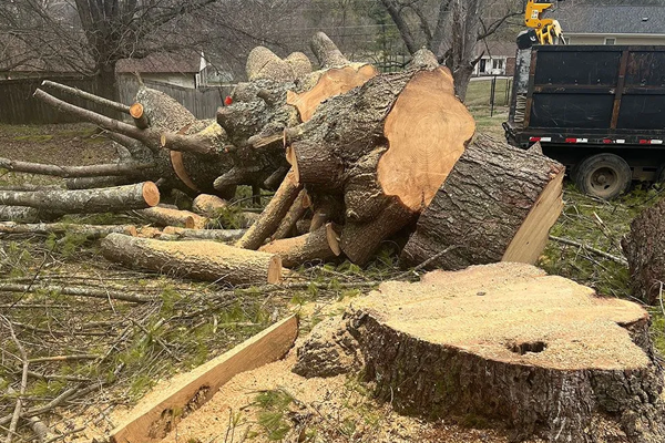 A pile of logs and a tree stump in a yard.