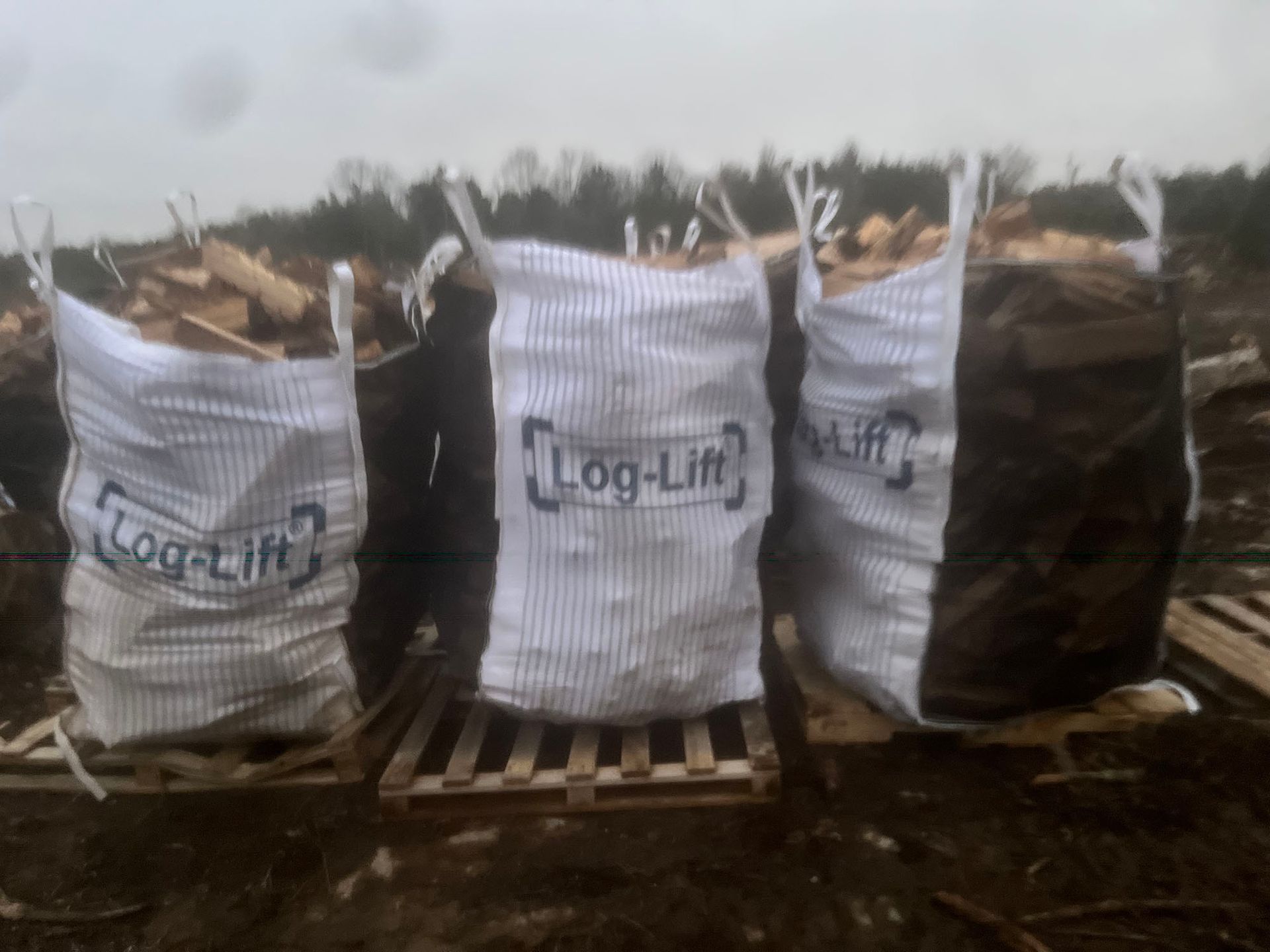 Three bags of logs are sitting on a wooden pallet.