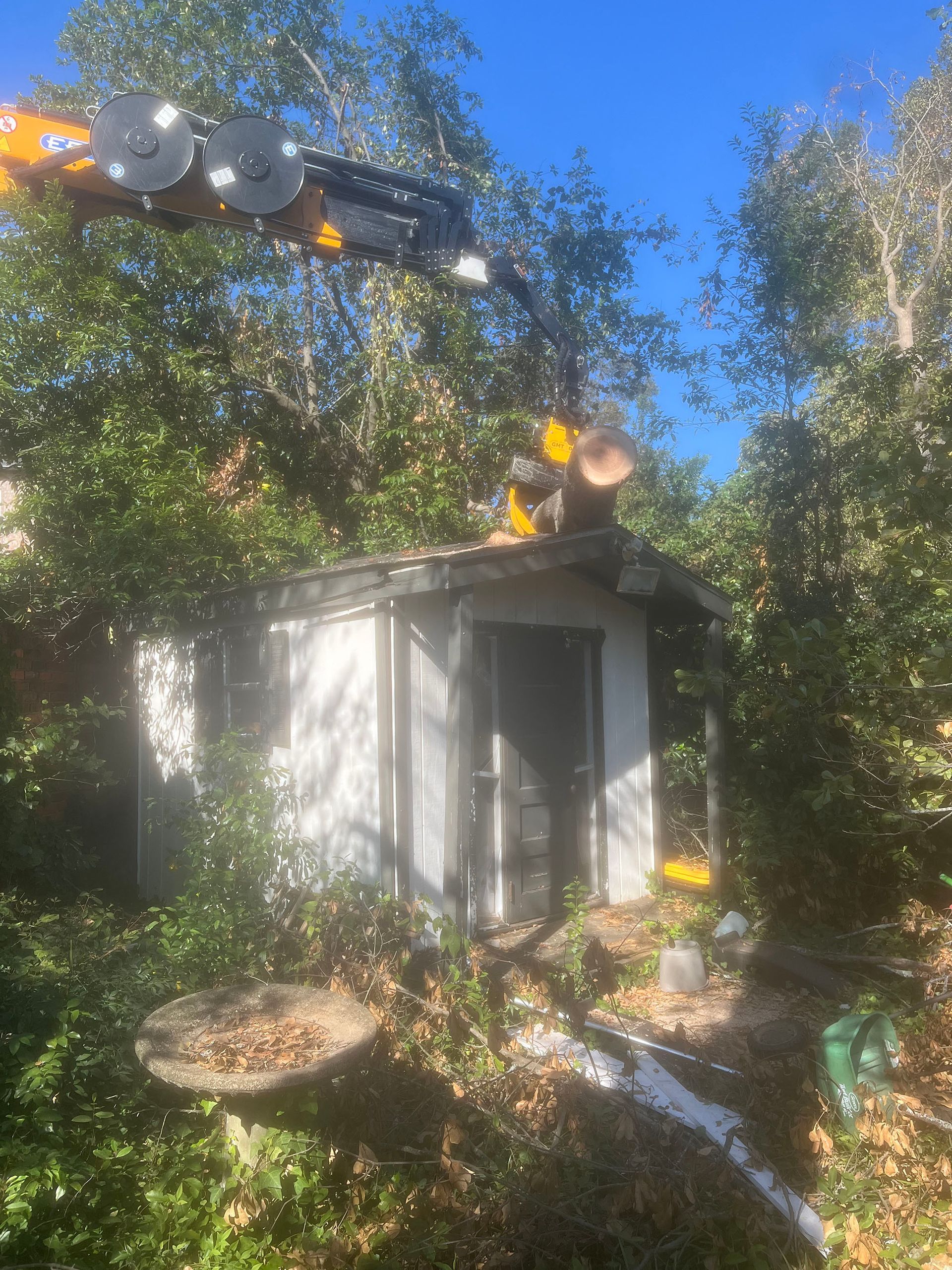 A crane is lifting a tree from the roof of a shed.