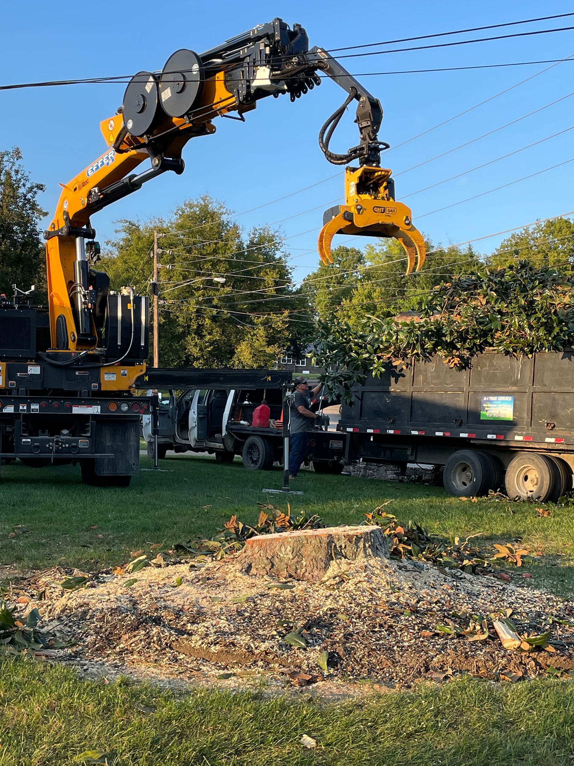 A crane is lifting a tree stump out of the ground.