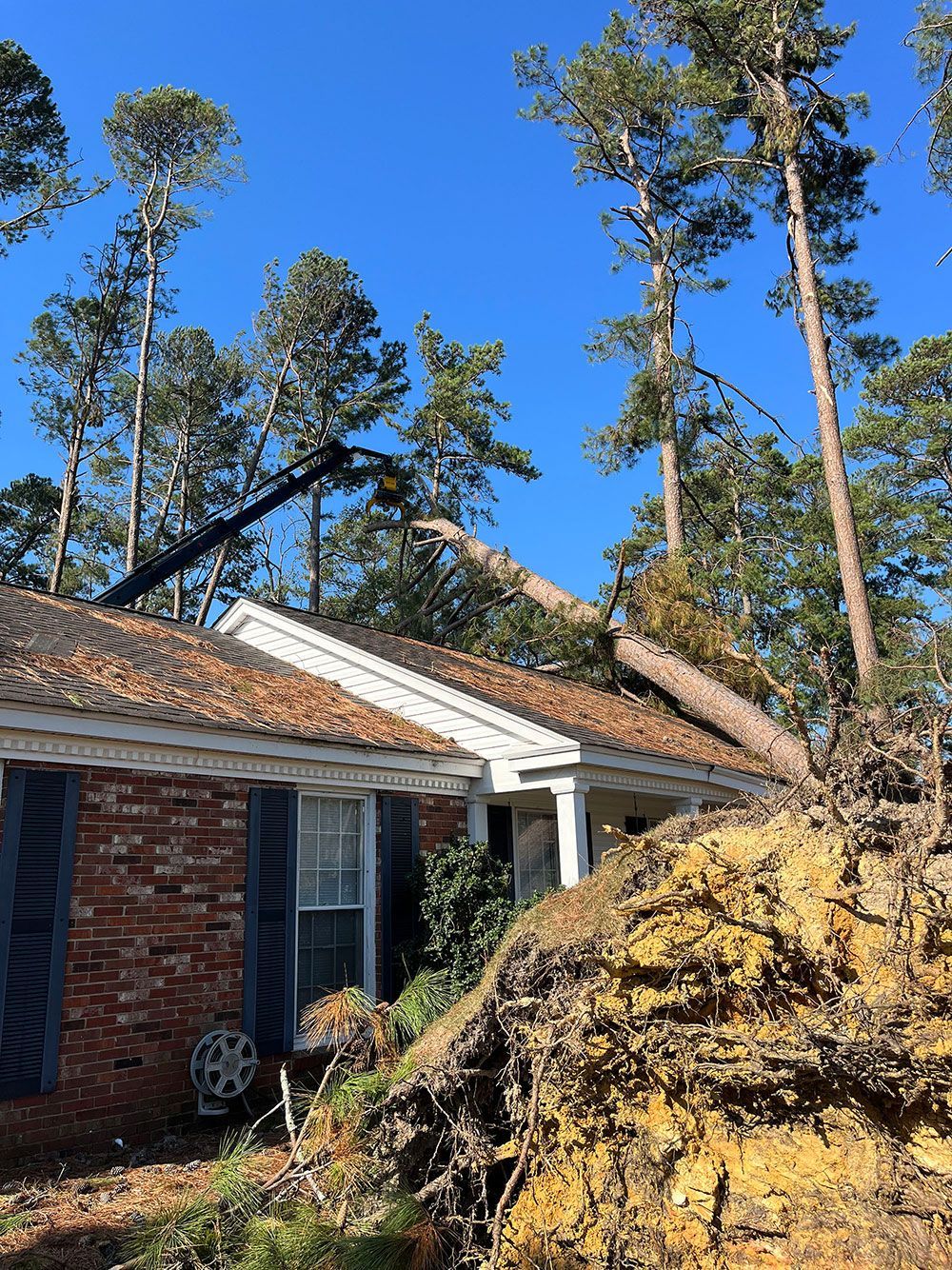 A house with a tree that has fallen on it