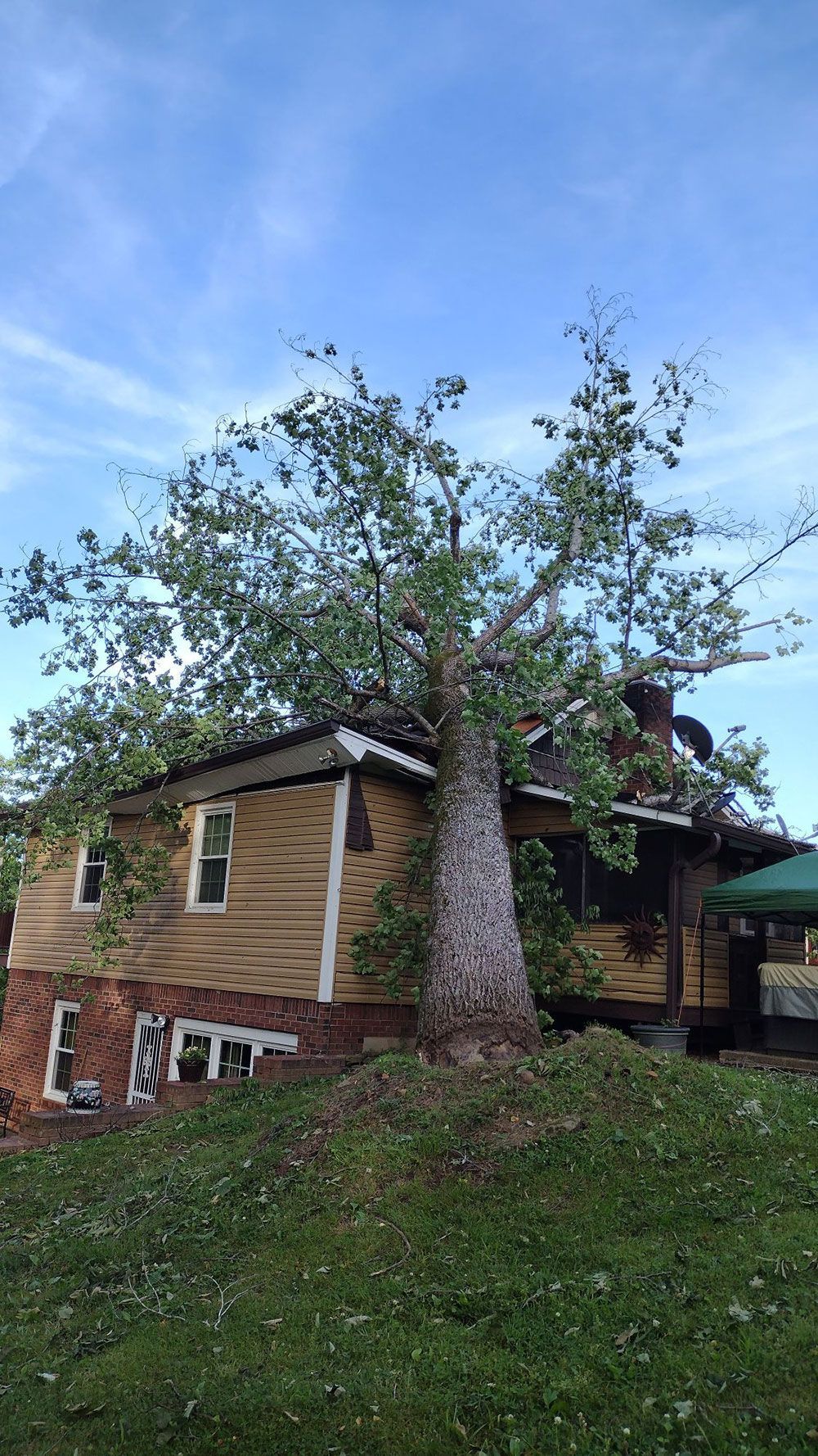 A tree that has fallen on top of a house.