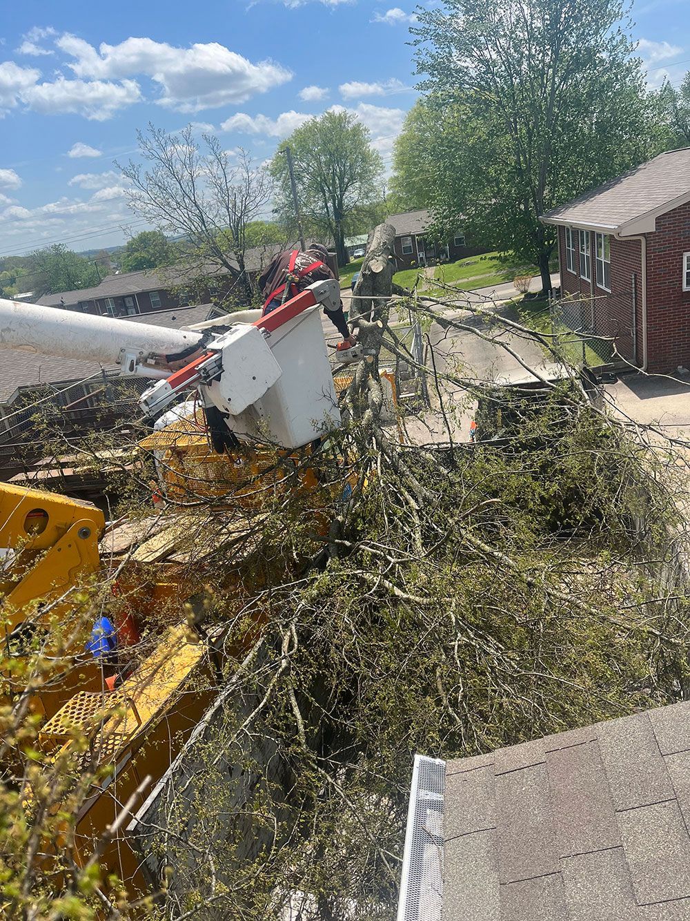 A bucket truck is cutting a tree in a yard.