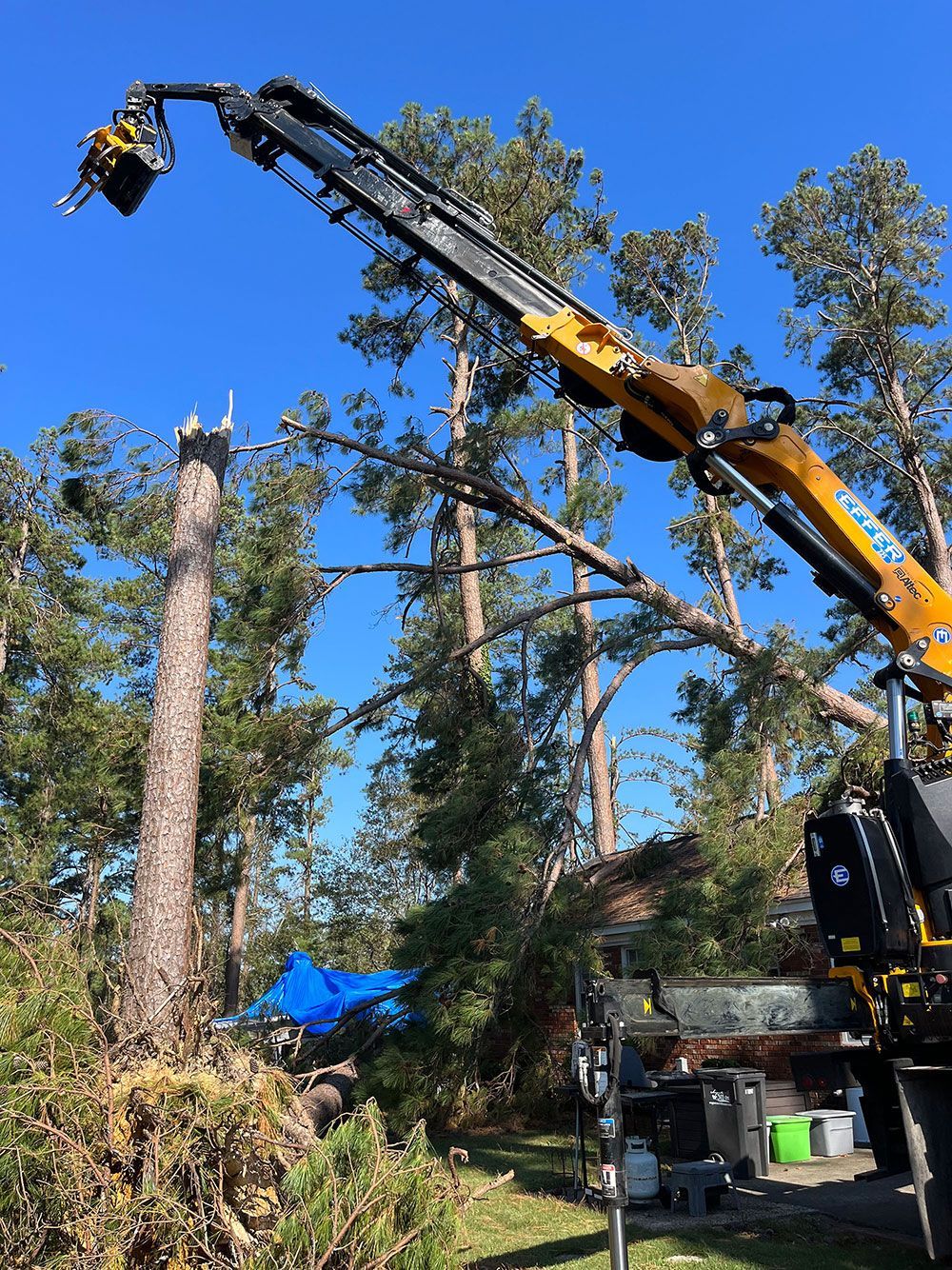 A crane is cutting down a tree in the woods.