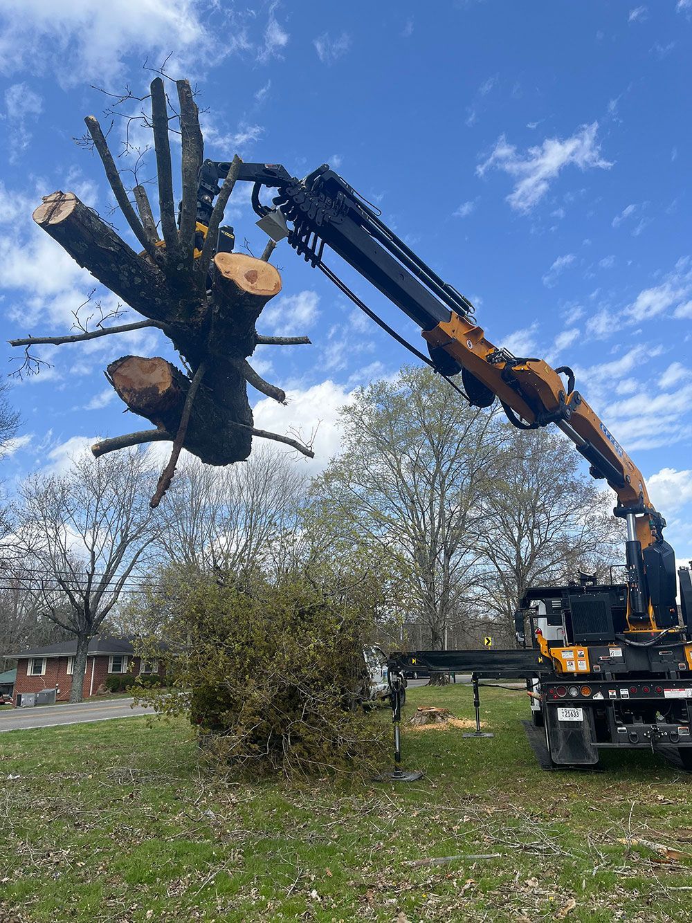 A crane is lifting a large tree branch in the air.