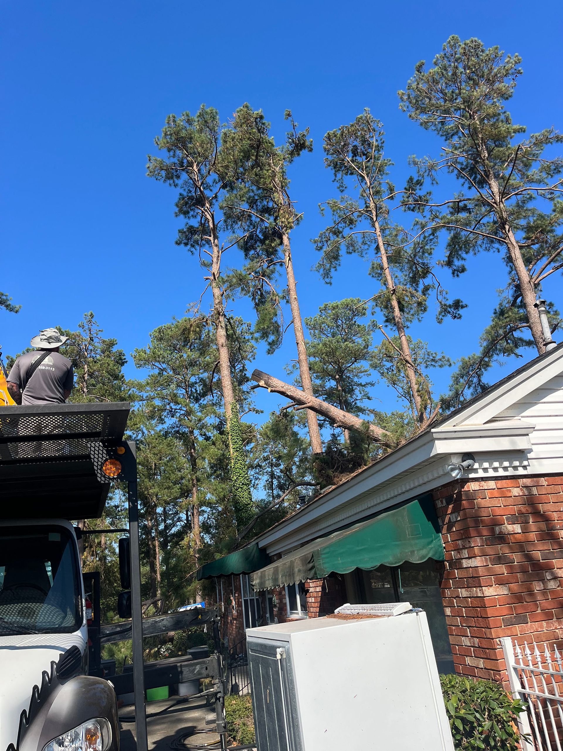 A tree is fallen on the roof of a house.