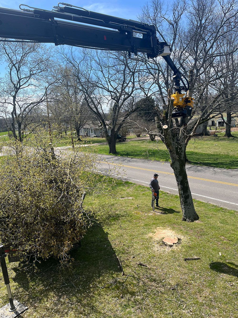 A man is standing next to a tree with a crane in the background.